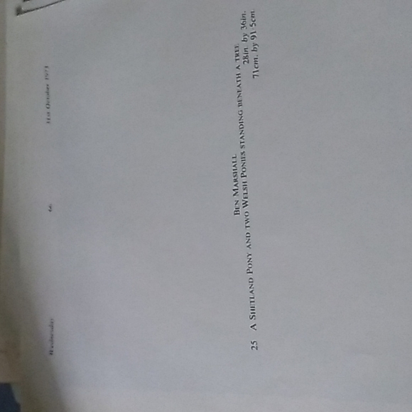 Sotheby book art #25 a shetland pony - Picture 3 of 3